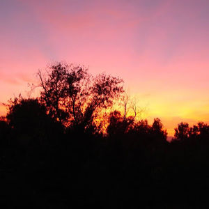 Meet your Posher, Lee